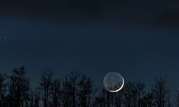 photo of crescent moon over trees at night