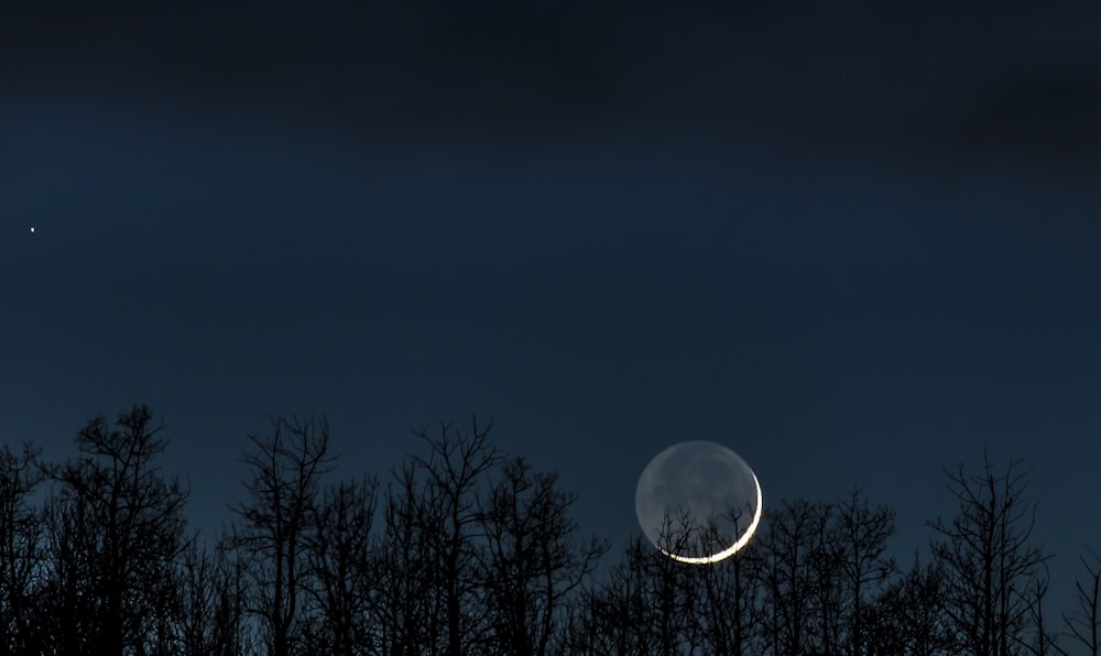 foto da lua crescente sobre árvores à noite