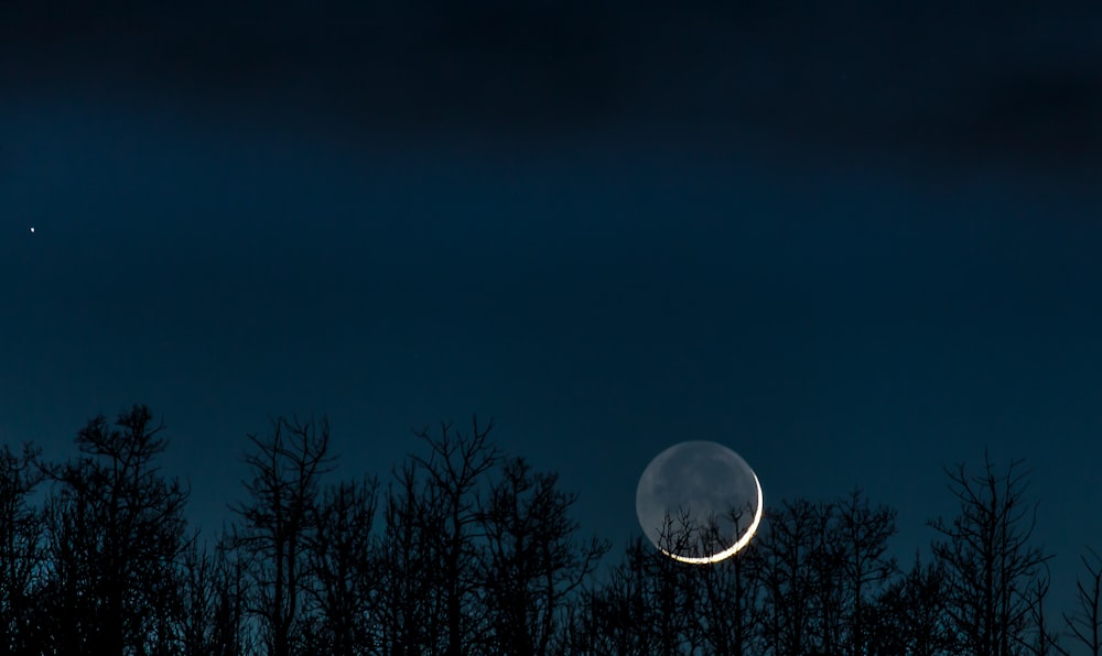 photo of crescent moon over trees at night