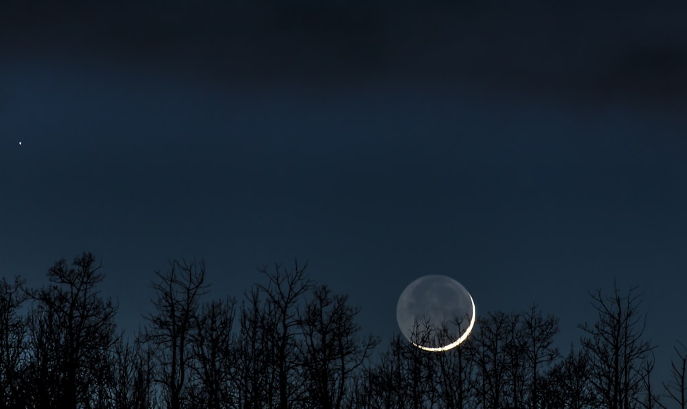 photo of crescent moon over trees at night