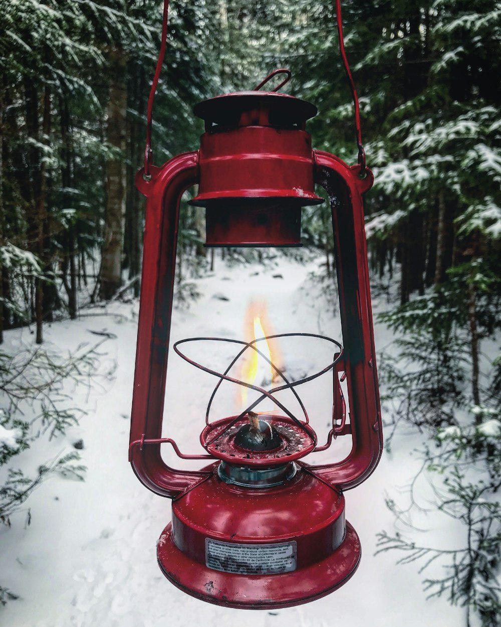 person holding red tubular lantern