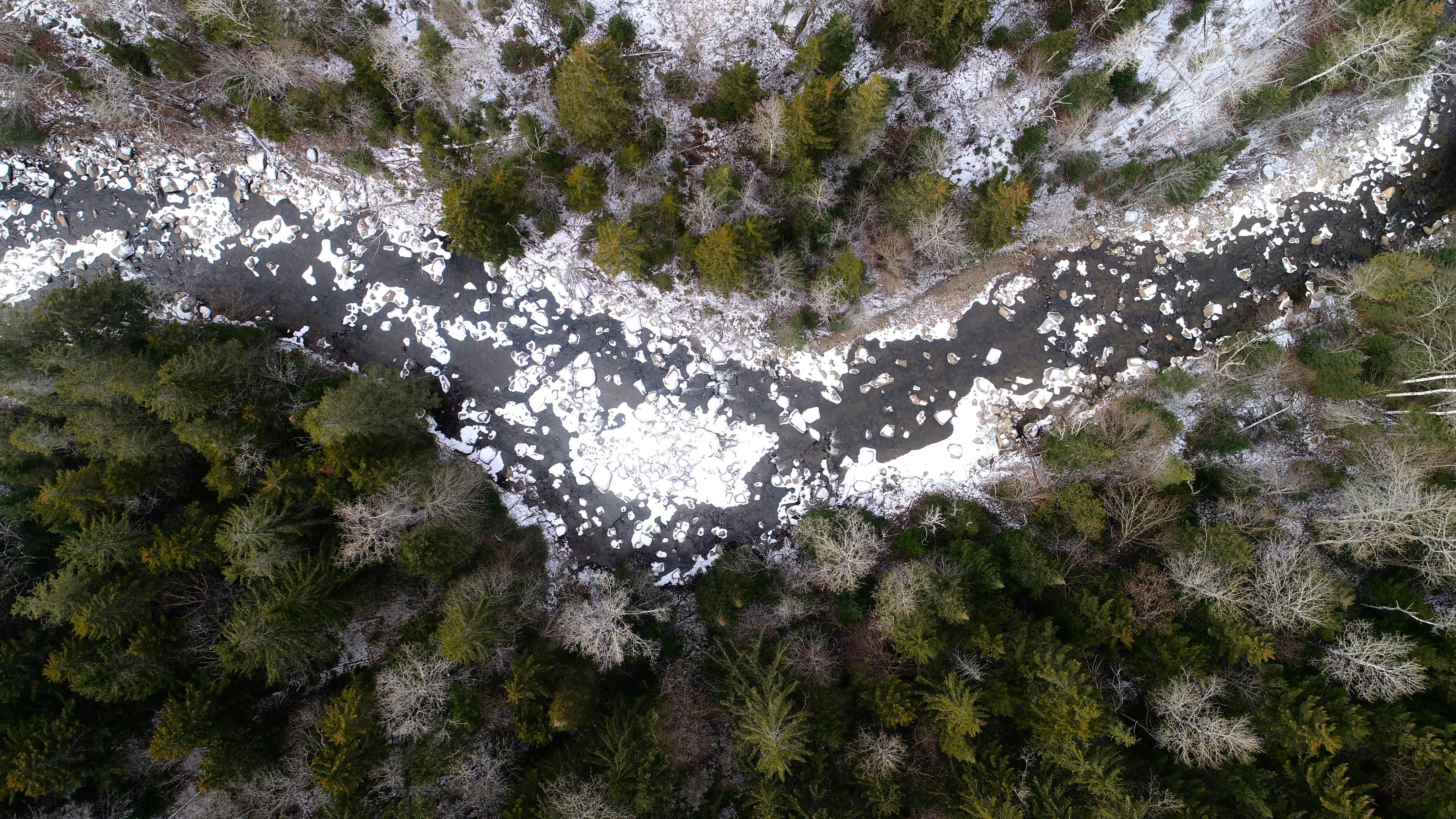 Photo by balazsbusznyak