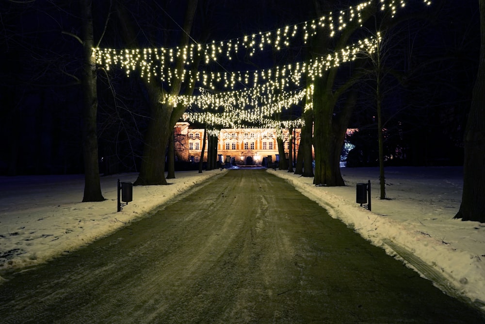 hanged light strips