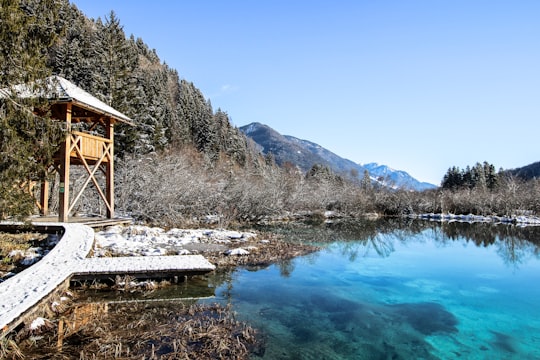 Zelenci things to do in Bovec