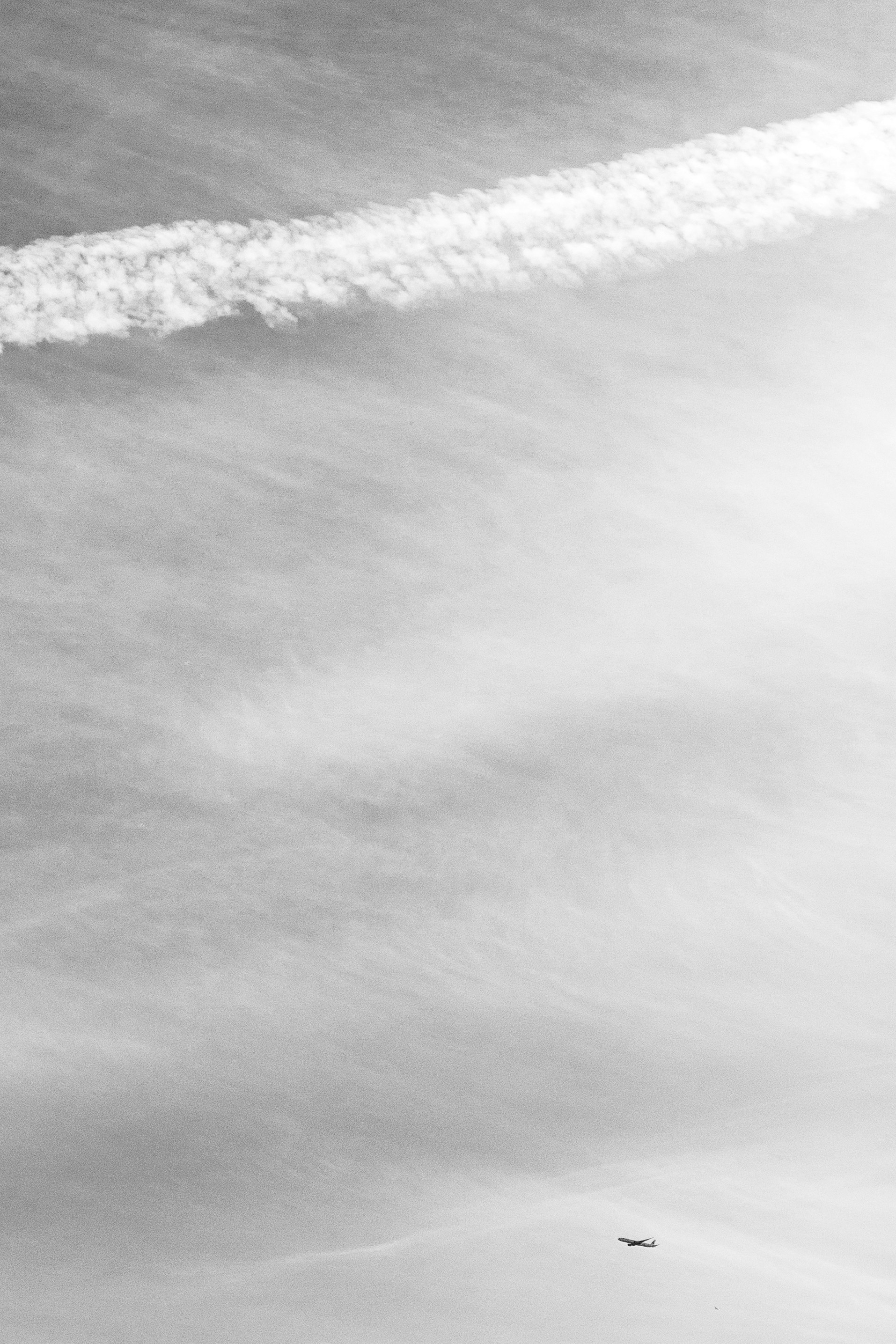 Photo by nate_dumlao