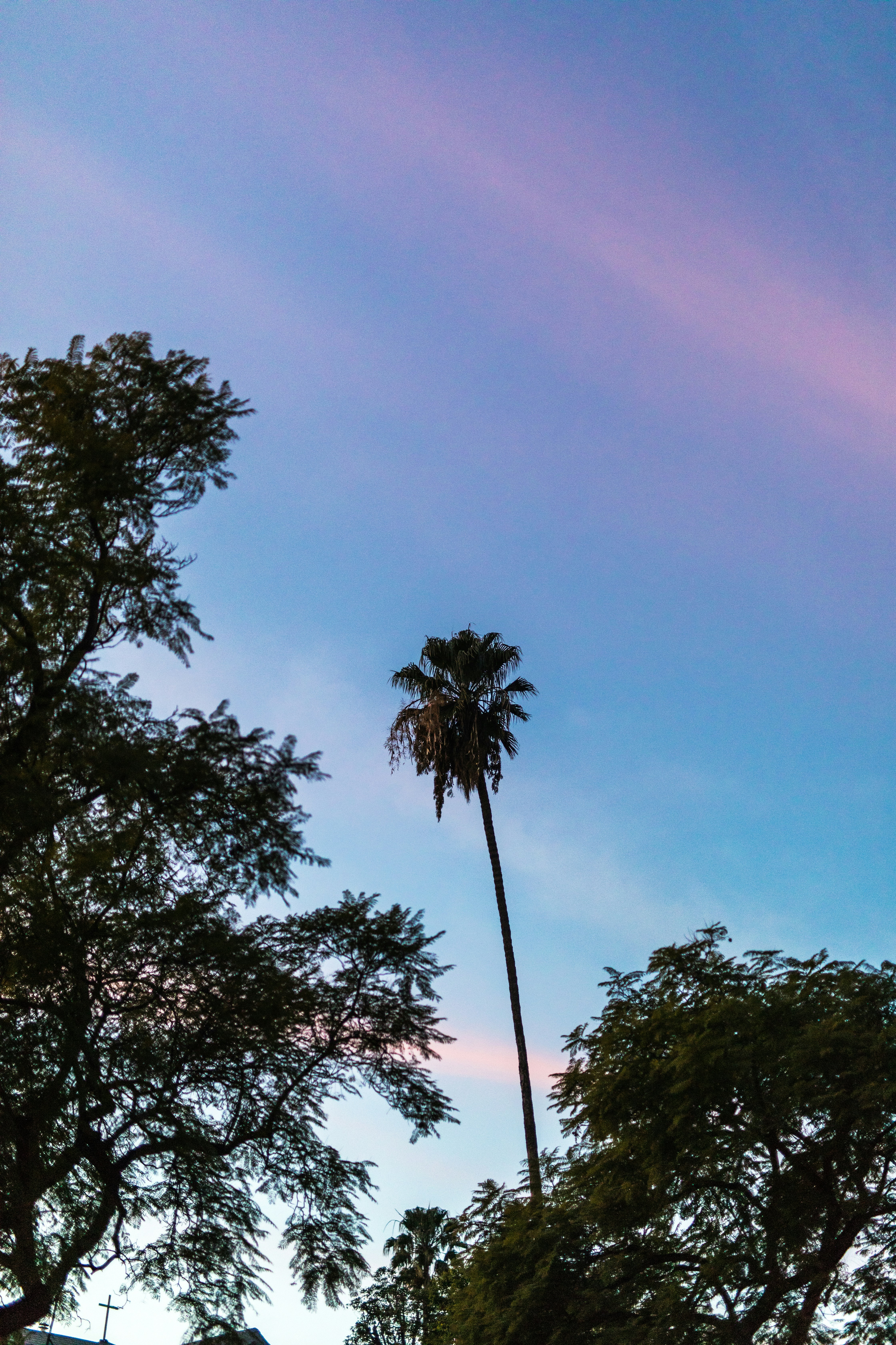 Photo by nate_dumlao