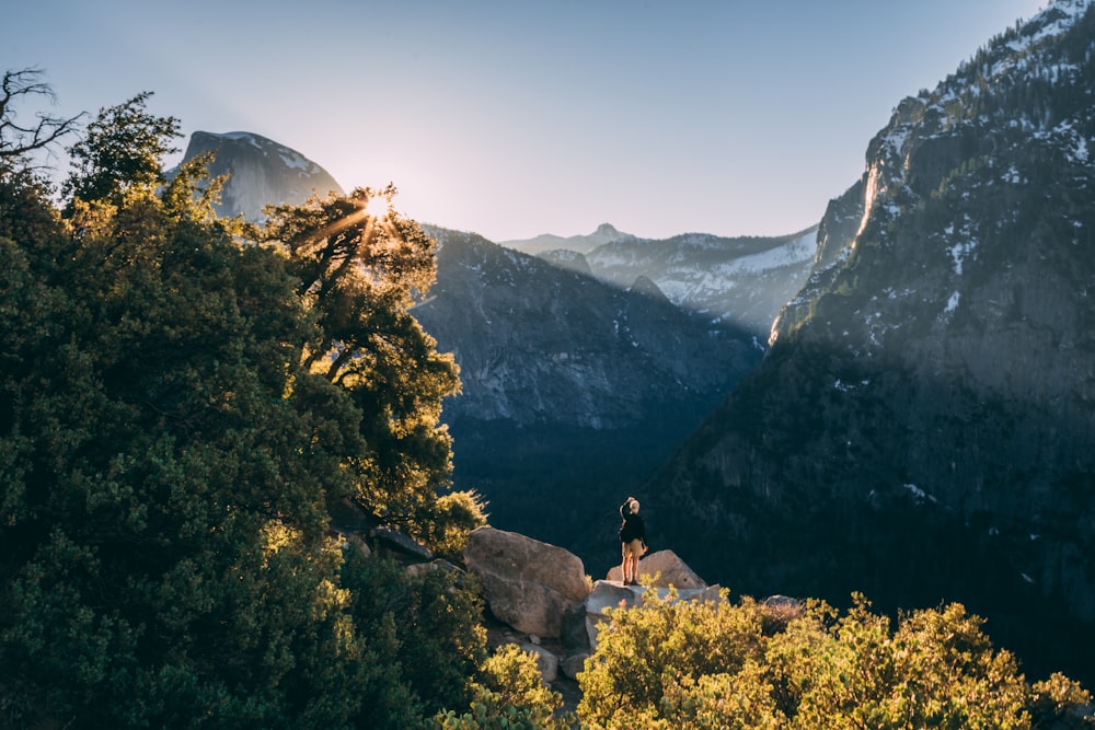 green trees near mountain