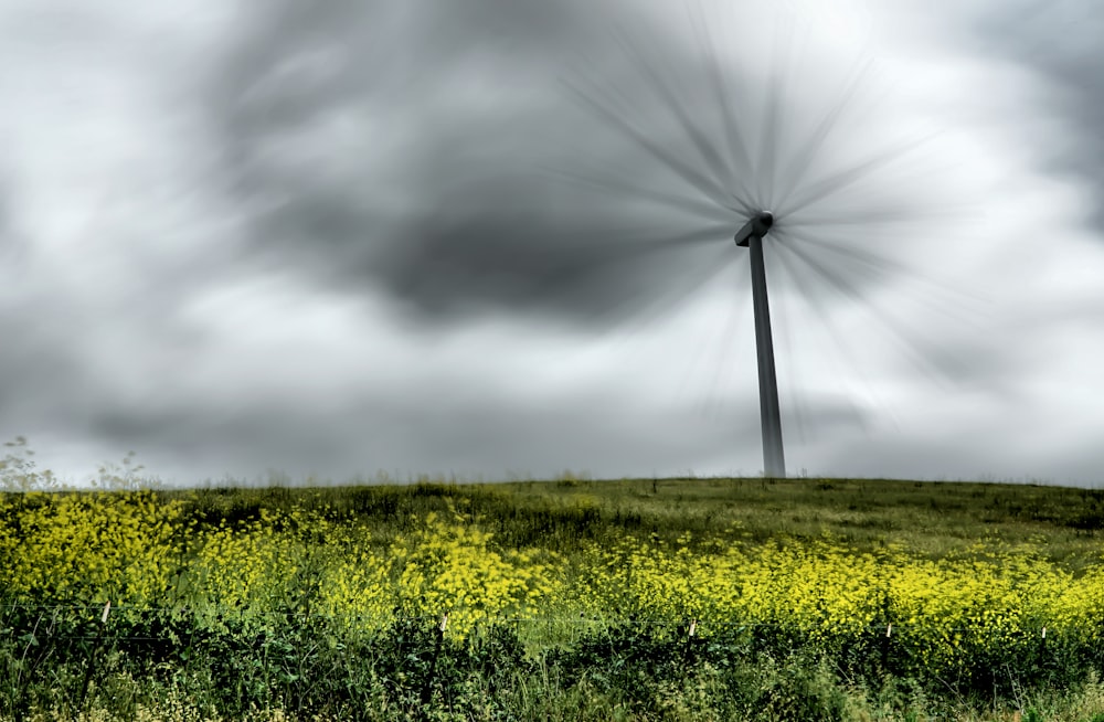 photographie de moulin à vent