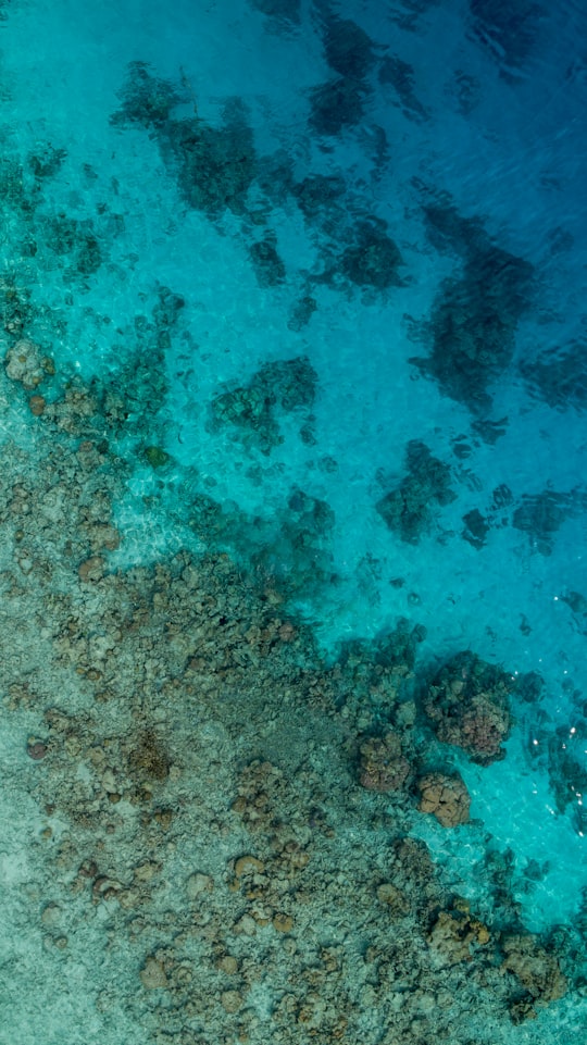 aerial photography of sea and stones in Vaavu Atoll Maldives