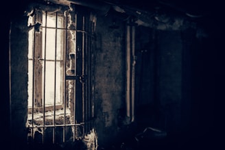 closeup photo of window with metal fence
