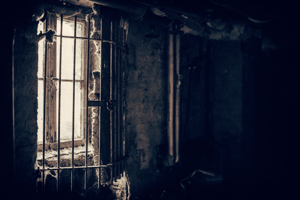 closeup photo of window with metal fence