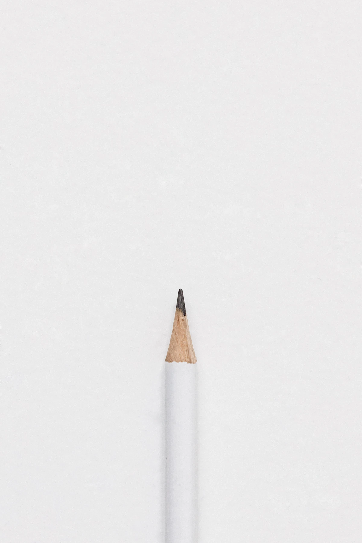 ¿Grano fino, grueso o satinado? Eligiendo el papel correcto
