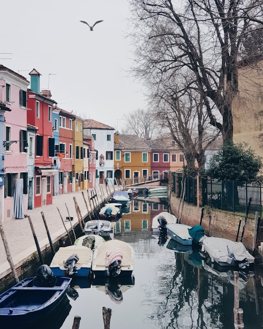 picture of Town from travel guide of Burano