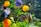 A vibrant water garden featuring colorful fish and aquatic plants.