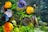 A vibrant water garden featuring colorful fish and aquatic plants.