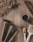 Wood shavings scatter across a wooden surface, accompanied by two hammers, a screwdriver, two paintbrushes, and a cup of tea with a tag. A plane is positioned at the top right, contributing to the woodworking atmosphere.