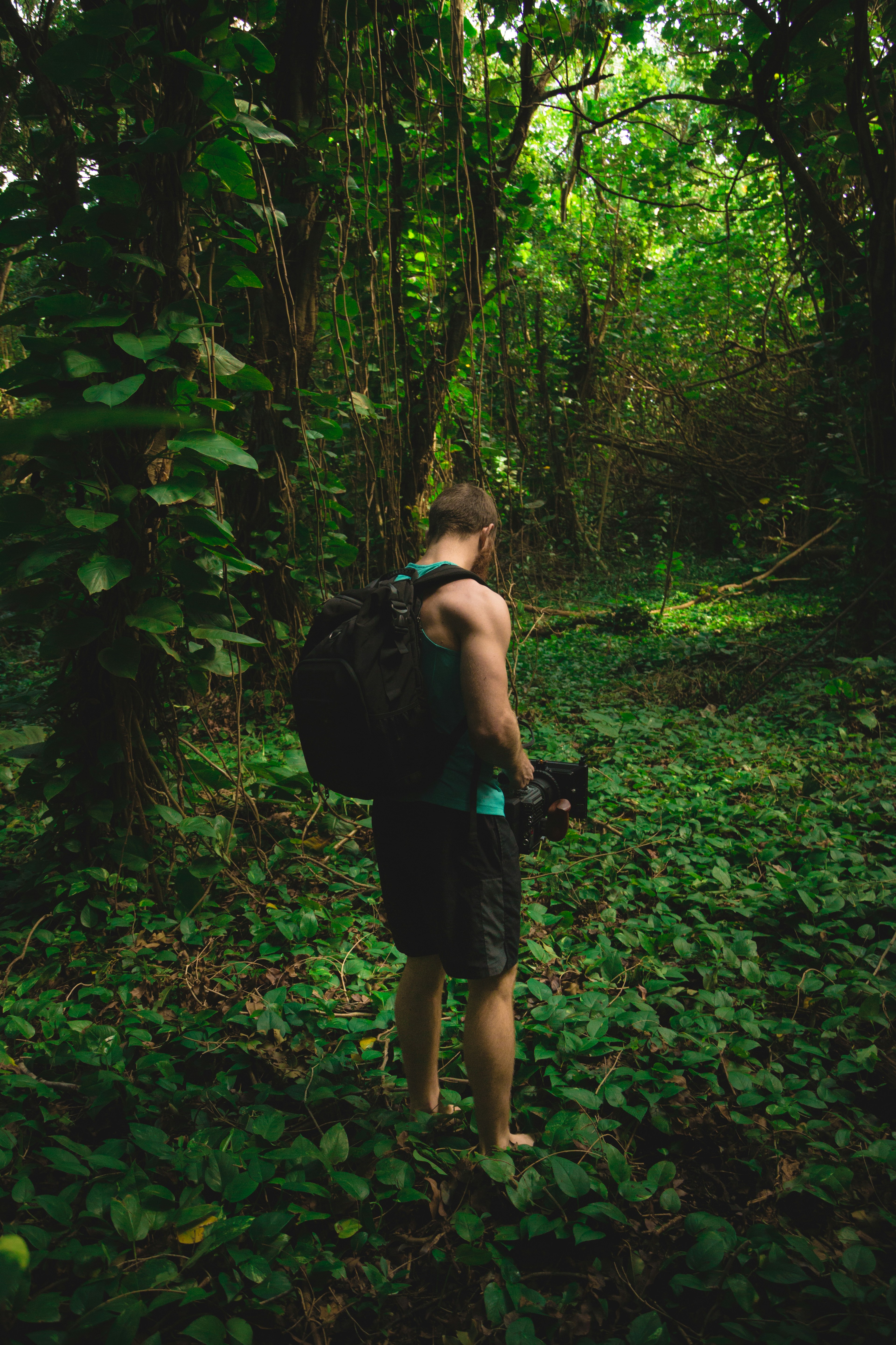 man stands near trees and carries black camera and black backpack during daytime