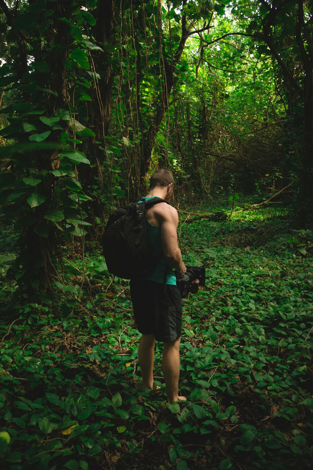 man stands near trees and carries black camera and black backpack during daytime