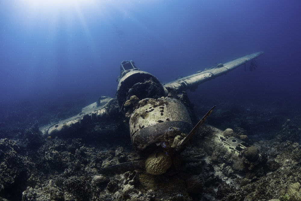 underwater photography of wrecked monoplane