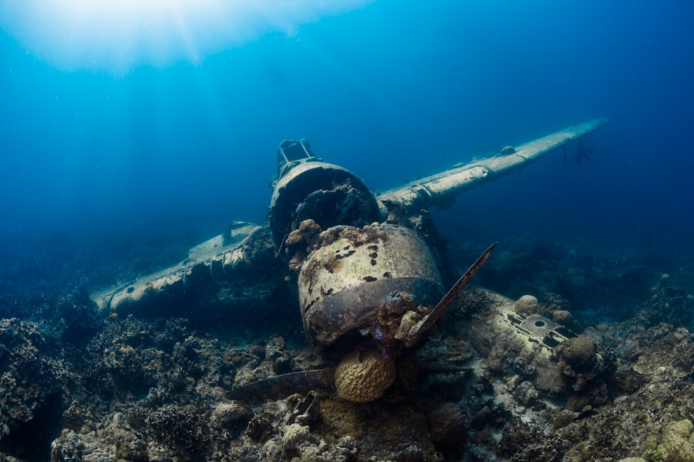 underwater photography of wrecked monoplane