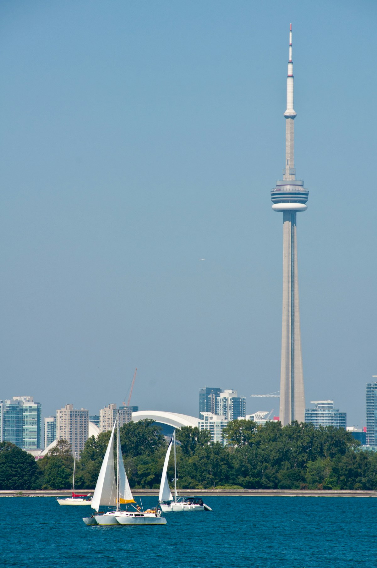 Toronto skyline and CN Tower on the shore of Lake Ontario