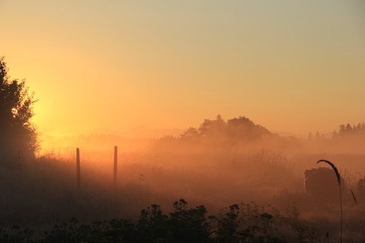 A serene farm landscape at dawn with soft light and mist rising over fields.