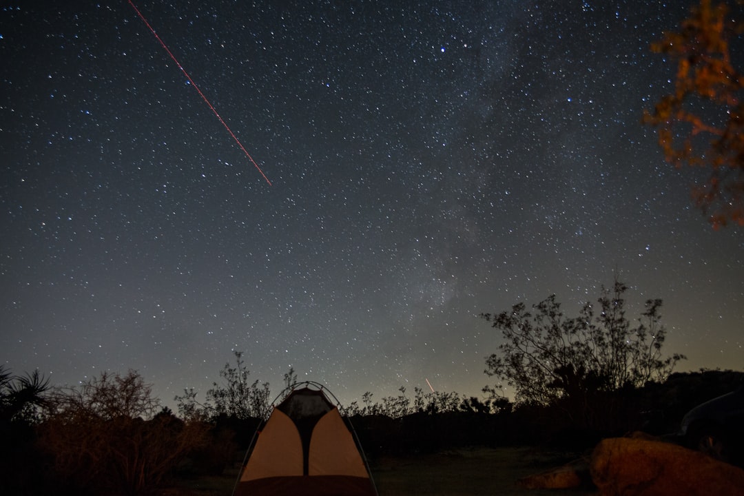 yellow and black dome tent surrounded by trees under black and white sky at nighttime, Joshua Tree Nights