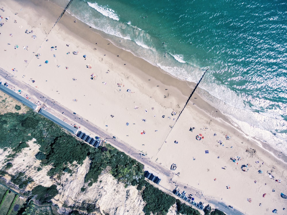 foto aerea di persone vicino alla spiaggia