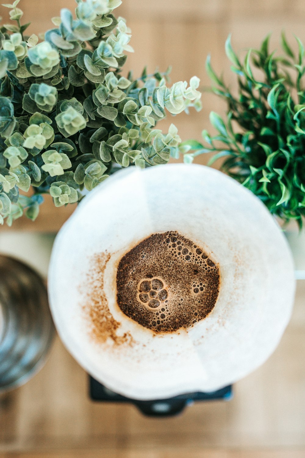 flat lay photography of coffee beside plants