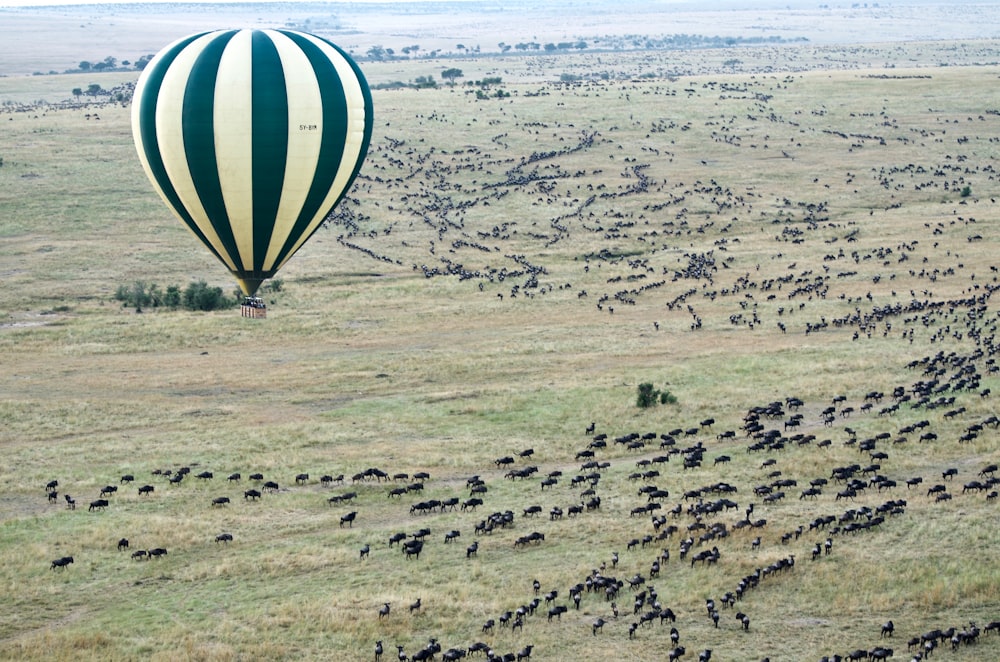 fotografia aerea di mongolfiera