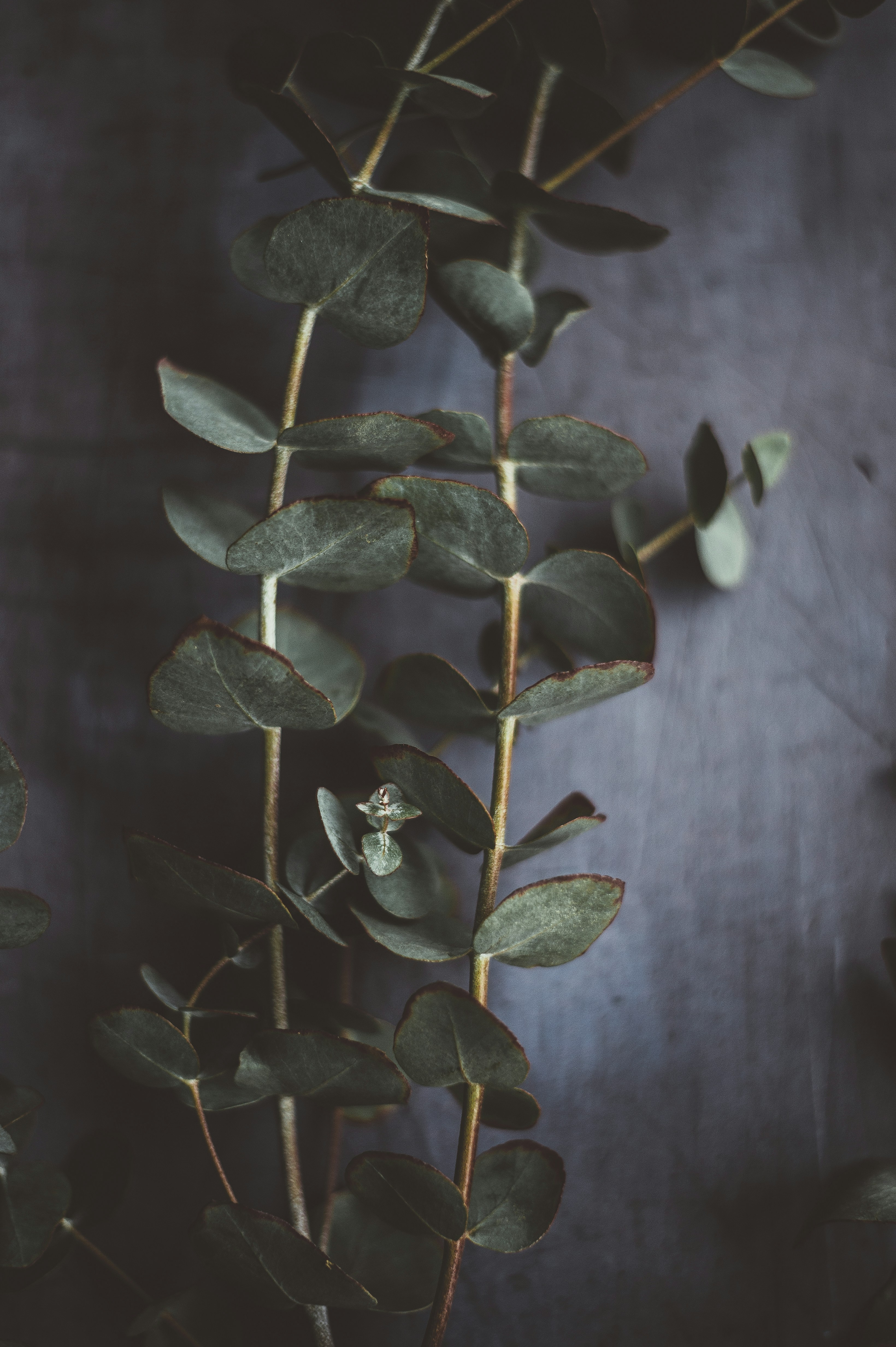 Photo by anniespratt