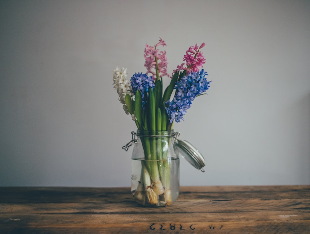 green plant on clear glass jar