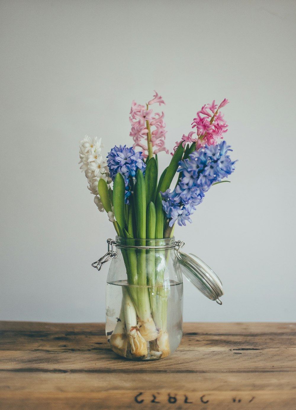 ピンク、白、青の花びらの花