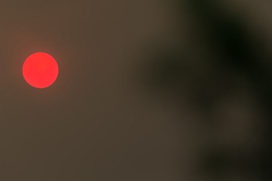 A bright red circle is prominently featured against a dark, muted background. The background exhibits an almost foggy or hazy appearance, with some indistinct darker shapes visible towards the right side.