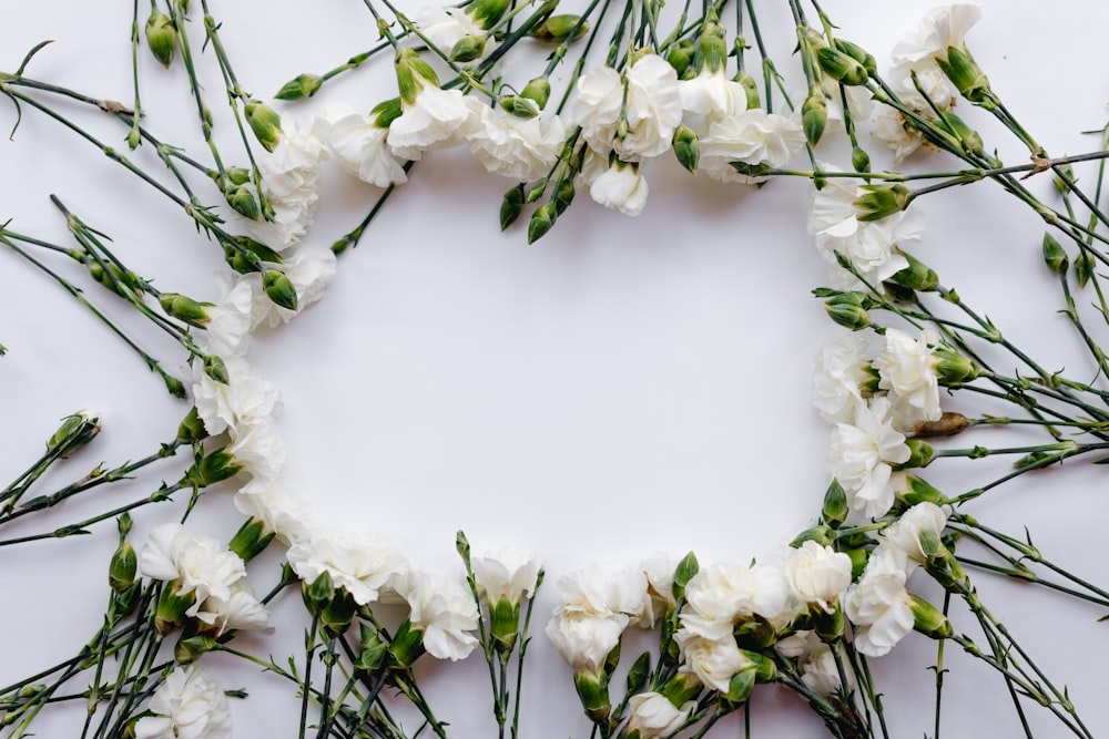 flor de pétalos blancos