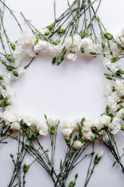 white petaled flowers forming oblong