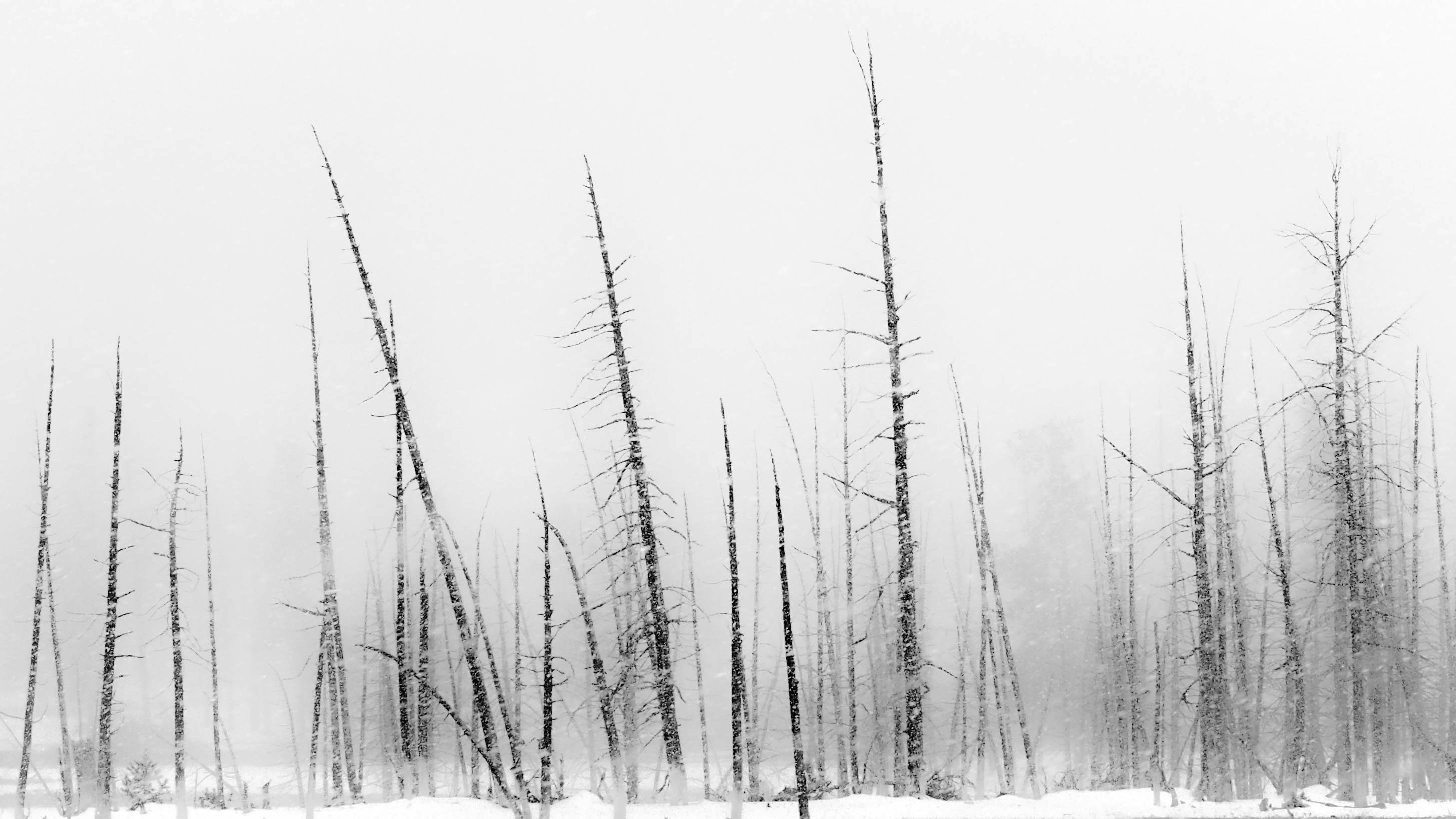 Enterprise startup winter is coming