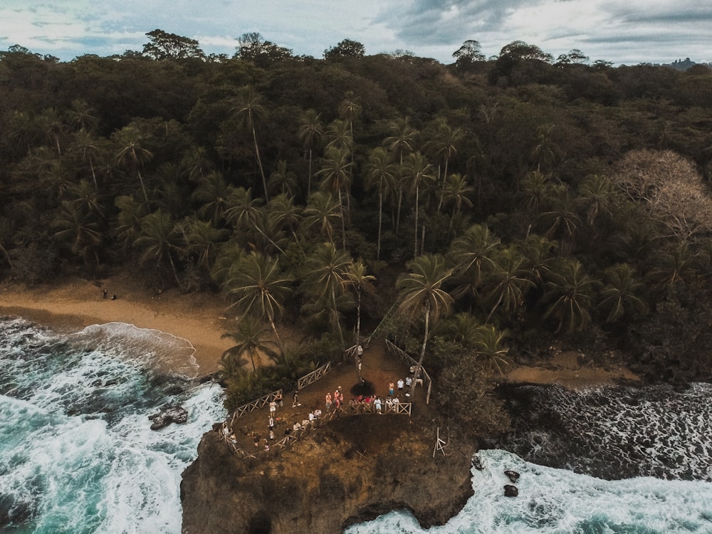 people standing on big rock surrounded by body of water near high trees under white and blue sky during daytime