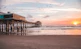 birds flying over brown wooden sea dock during sunset