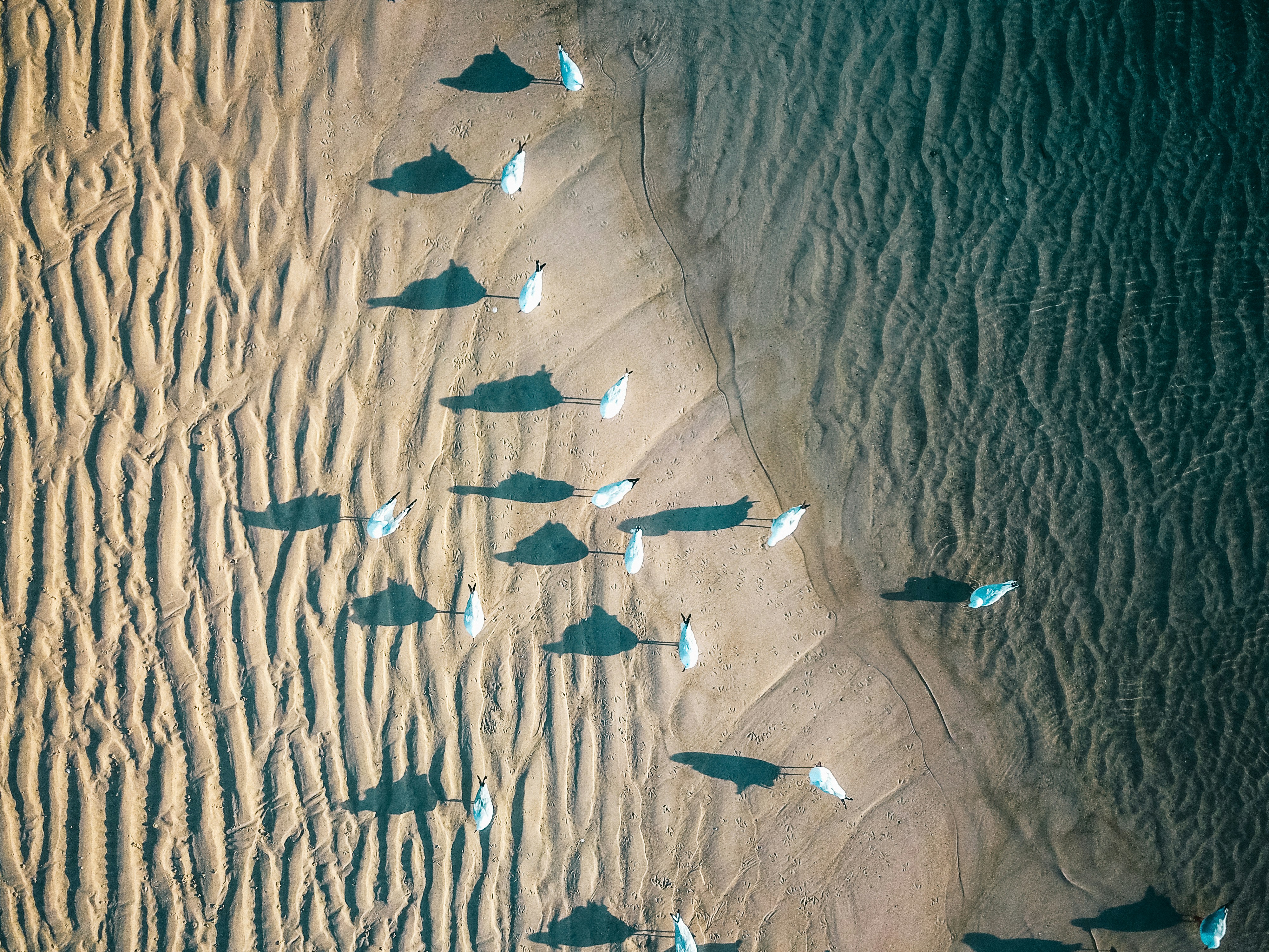 1,000,000+ Free Images