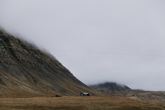 Bíldudalur things to do in Ísafjörður