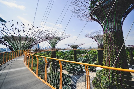 Singapore landmark in Gardens by the Bay Singapore