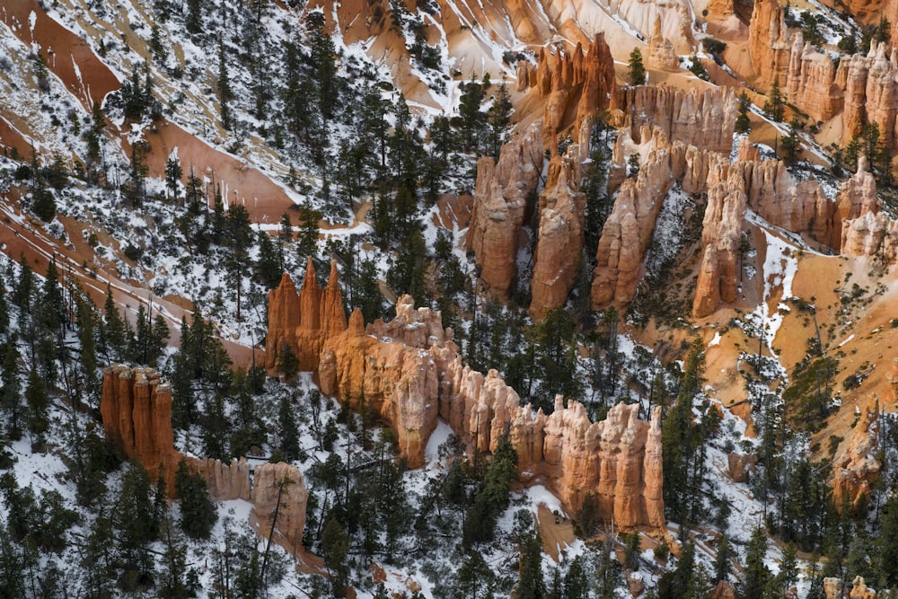 aerial photo of brown rock formations and trees