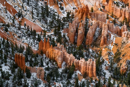 aerial photo of brown rock formations and trees in Bryce Canyon United States