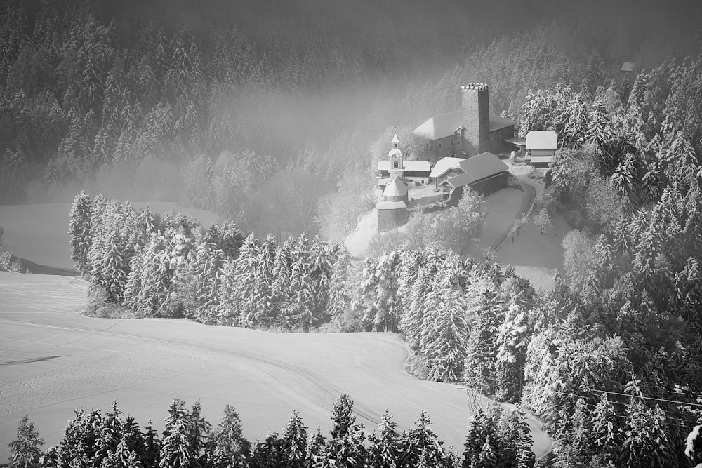 grayscale photography of castle near on forest trees