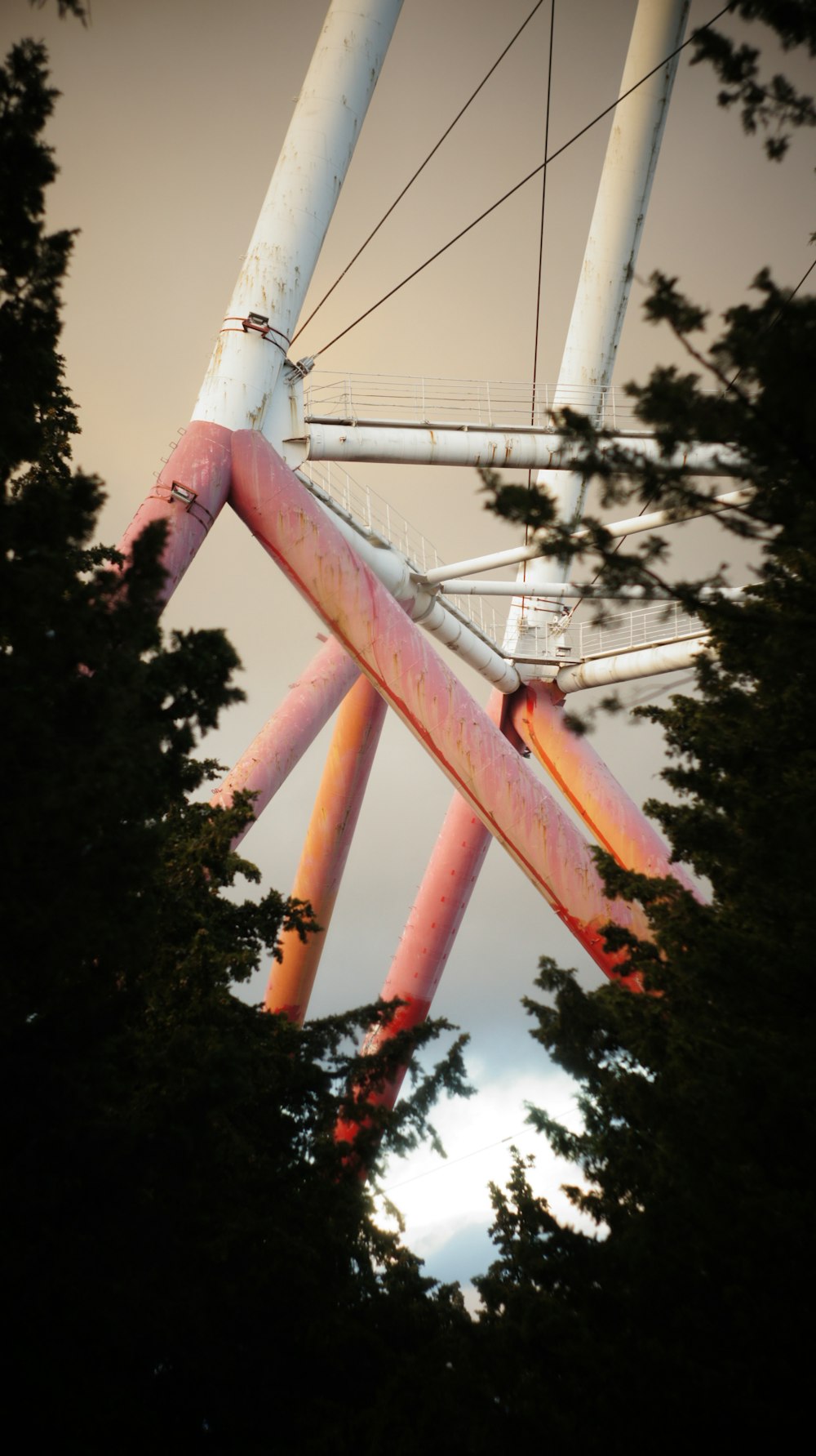 white and red steel frame behind tree