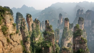 Zhangjiajie’s towering sandstone pillars shrouded in morning mist.