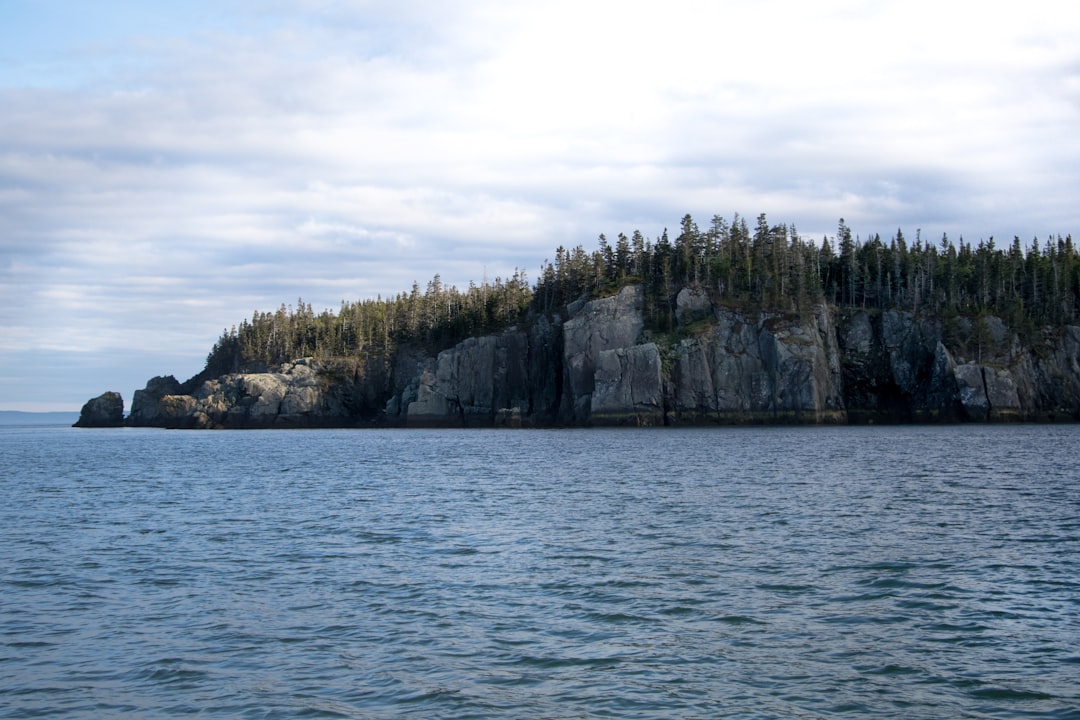 travelers stories about Cliff in Lubec, United States