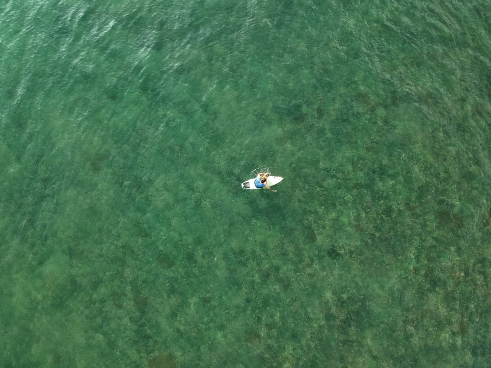 aerial photography of person on white paddle board