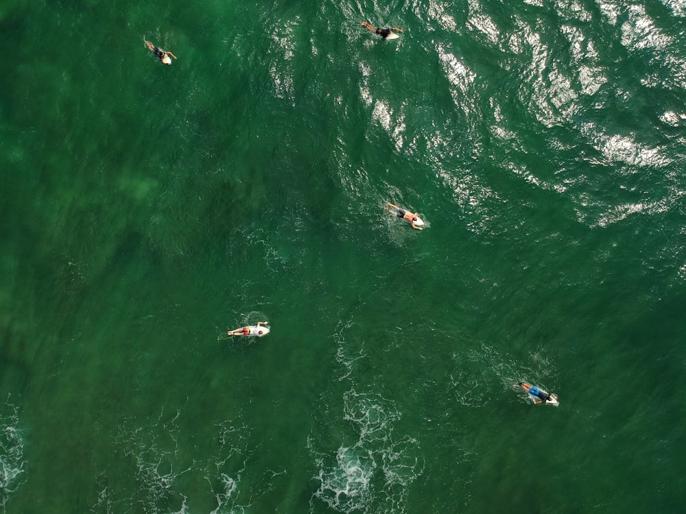 aerial view of people surfing on ocean